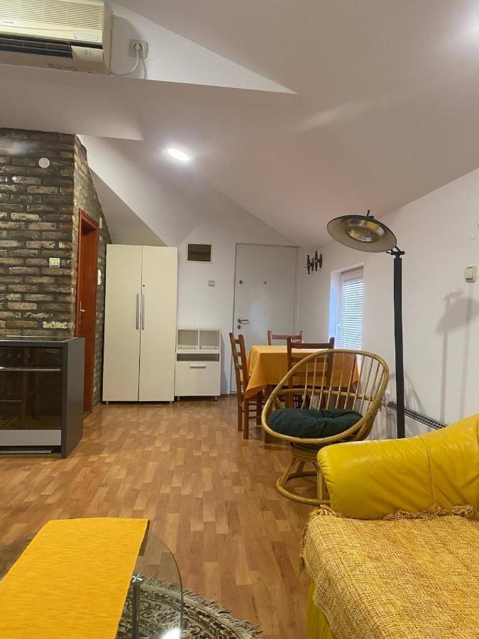 Twin Studio Apartments Zemun Βελιγράδι Εξωτερικό φωτογραφία